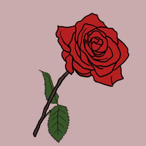 Fairy Tales answer: RED ROSE