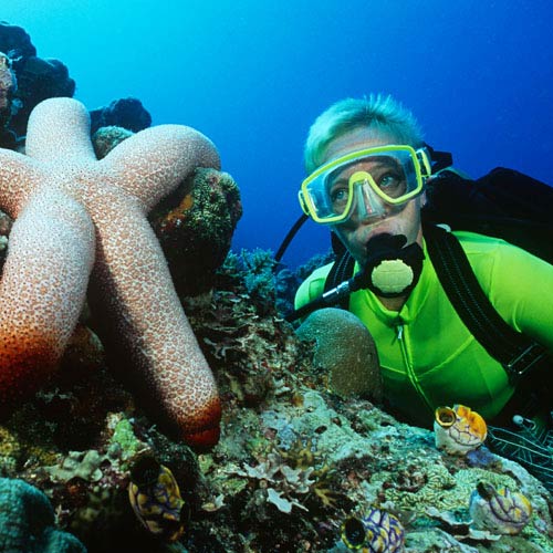 Holidays answer: SCUBA DIVING